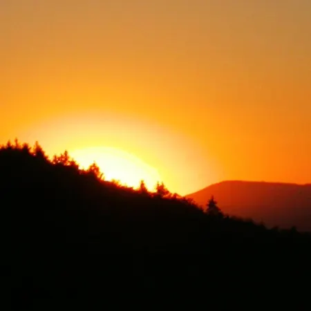 Blick Zum Lallinger Winkel * Schöfweg